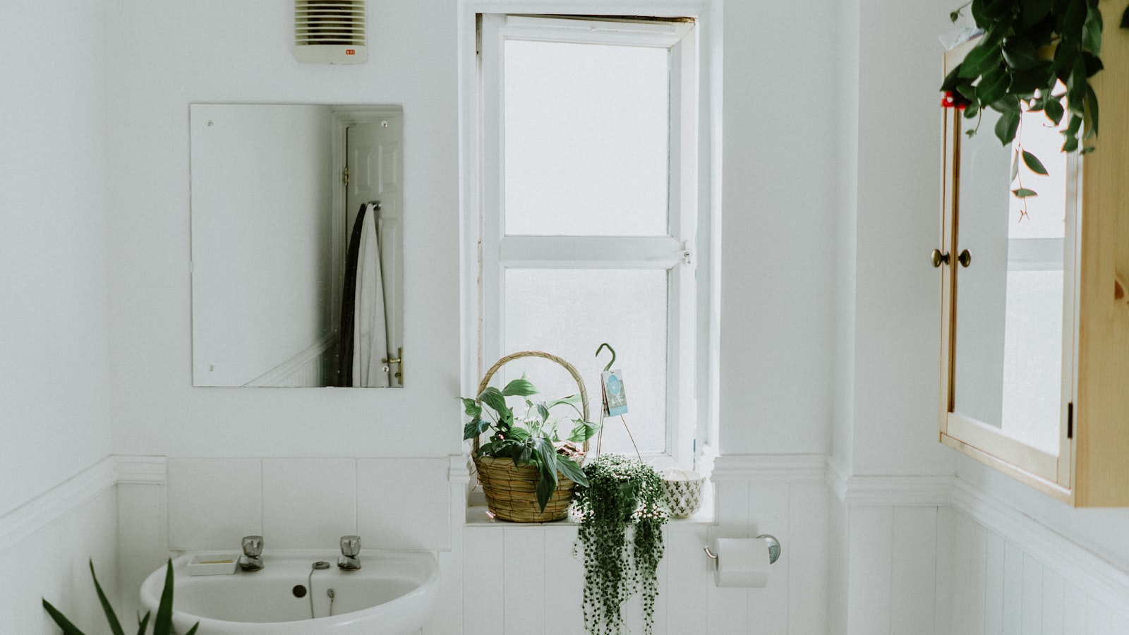 A bright white bathroom with plants and clean natural light