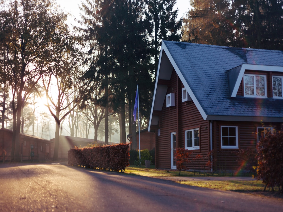 A wood-sided home surrounded by trees in warm light